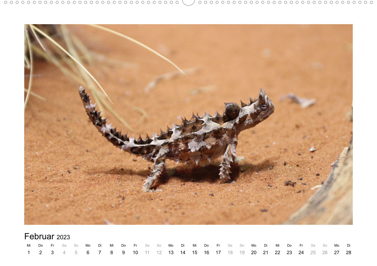 Traumziel Australien - Faszinierende Tierwelt 2023 (Premium, hochwertiger DIN A2 Wandkalender 2023, Kunstdruck in Hochglanz)