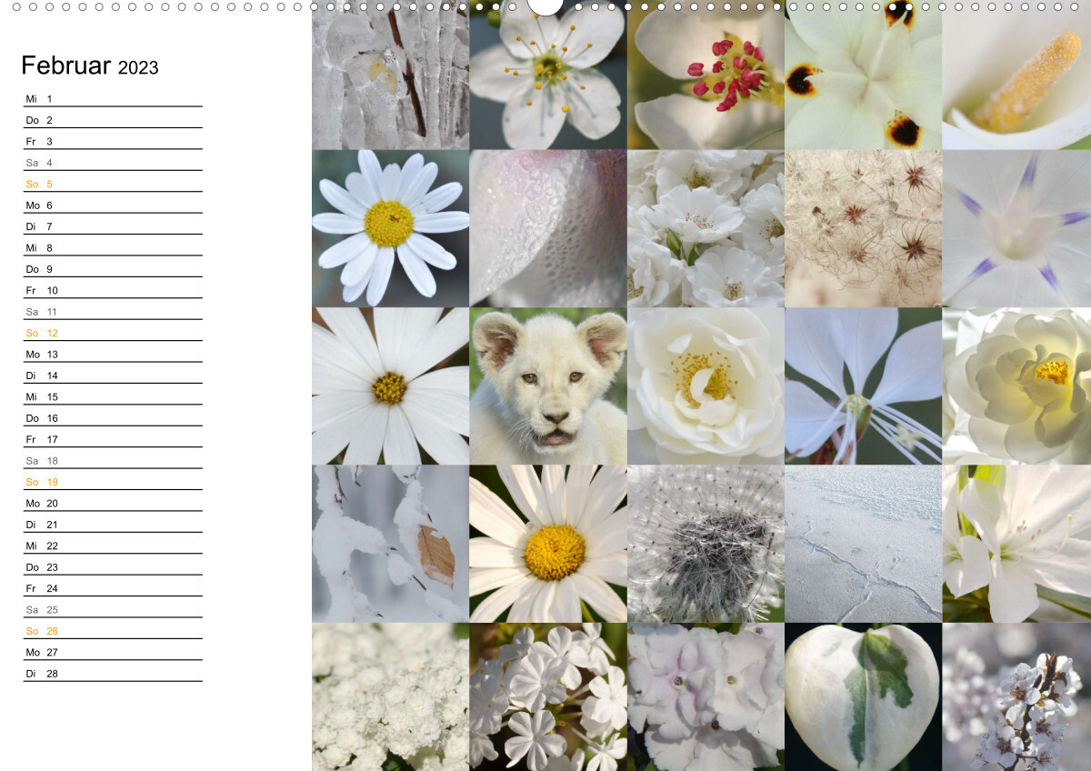 Farbenkaleidoskop (Wandkalender 2023 DIN A2 quer)