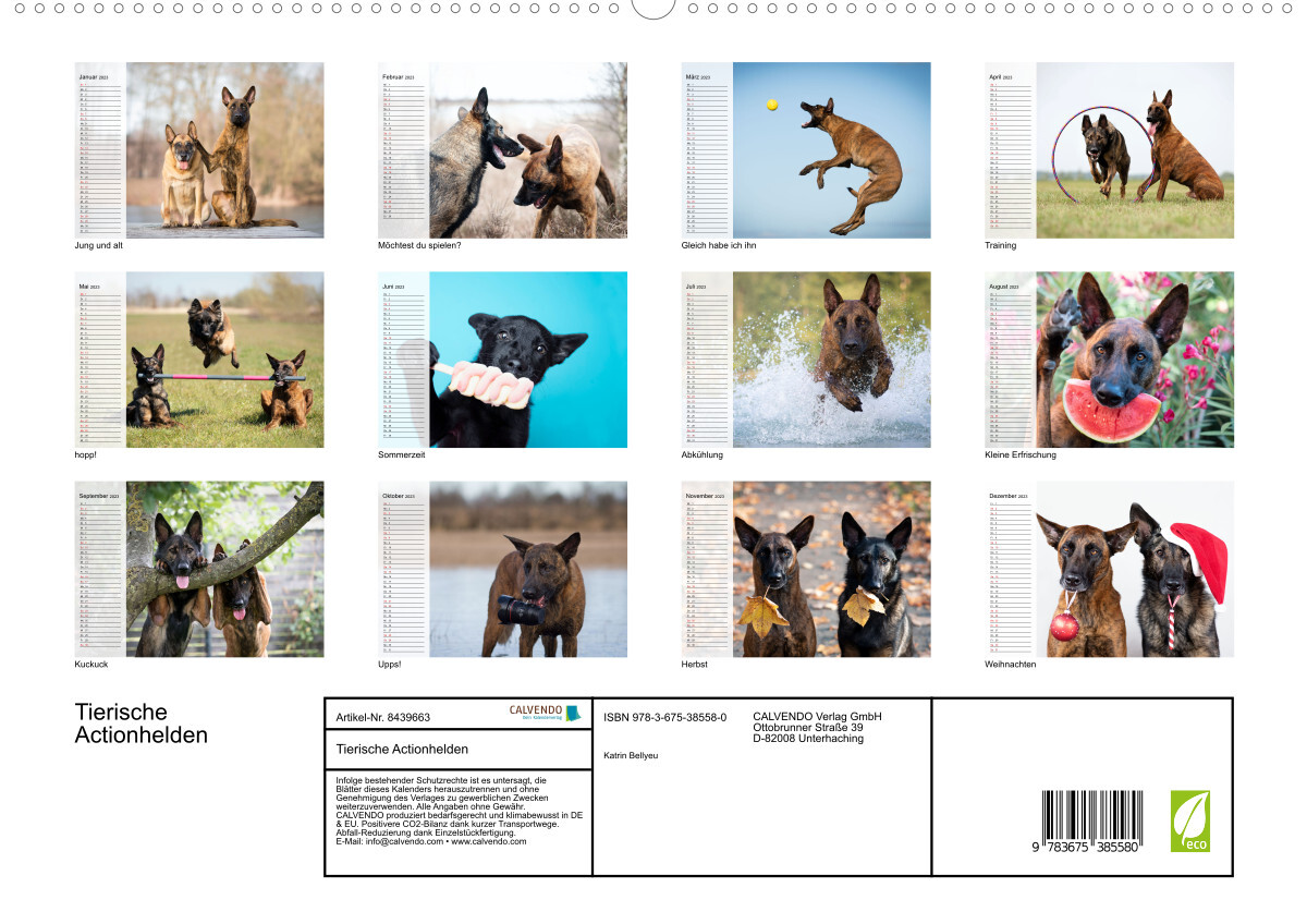 Tierische Actionhelden (Premium, hochwertiger DIN A2 Wandkalender 2023, Kunstdruck in Hochglanz)