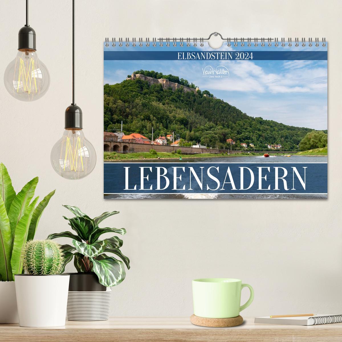 Lebensadern - Elbsandstein (Wandkalender 2024 DIN A4 quer)