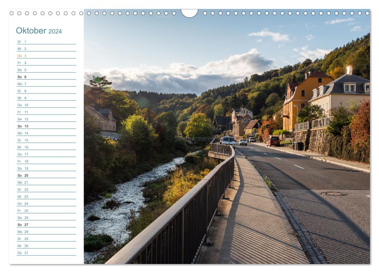 Lebensadern - Elbsandstein (Wandkalender 2024 DIN A3 quer)