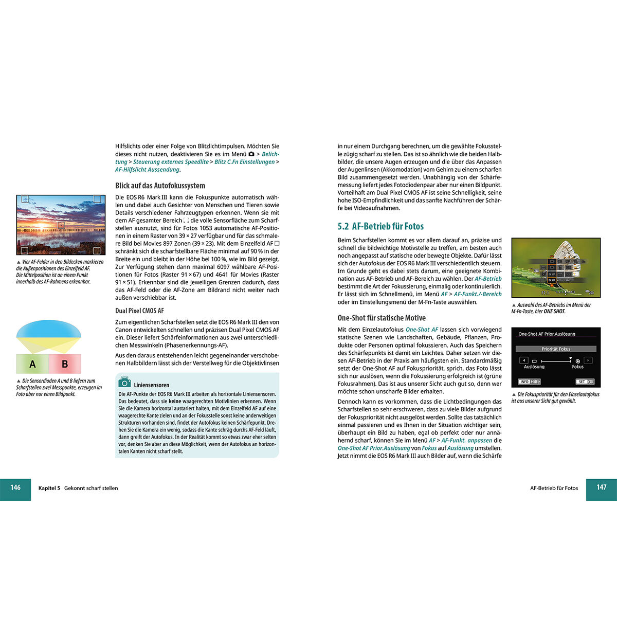 Bildner Canon EOS R7 – Das umfangreiche Praxisbuch – E-Book, Gedrucktes Buch auf