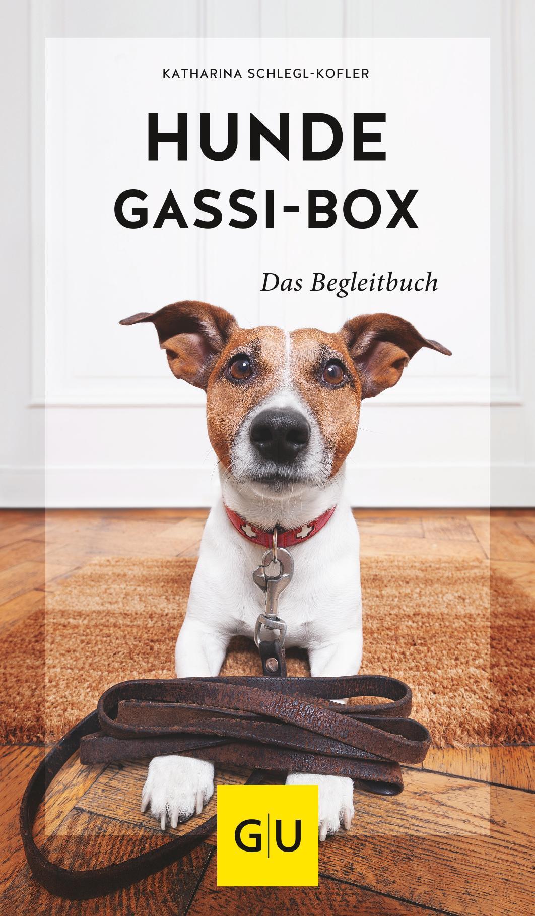 Hunde-Gassi-Box