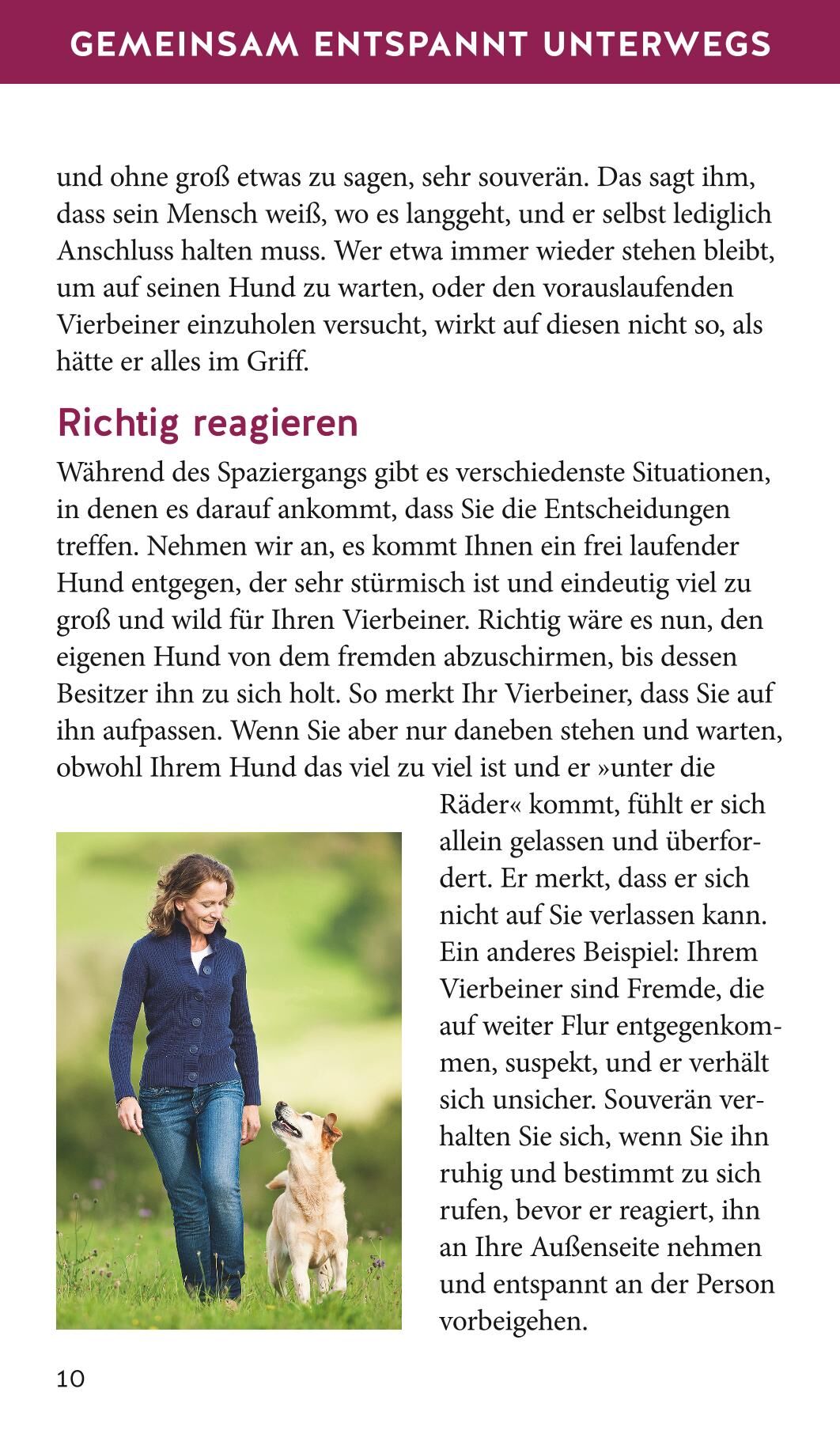 Hunde-Gassi-Box