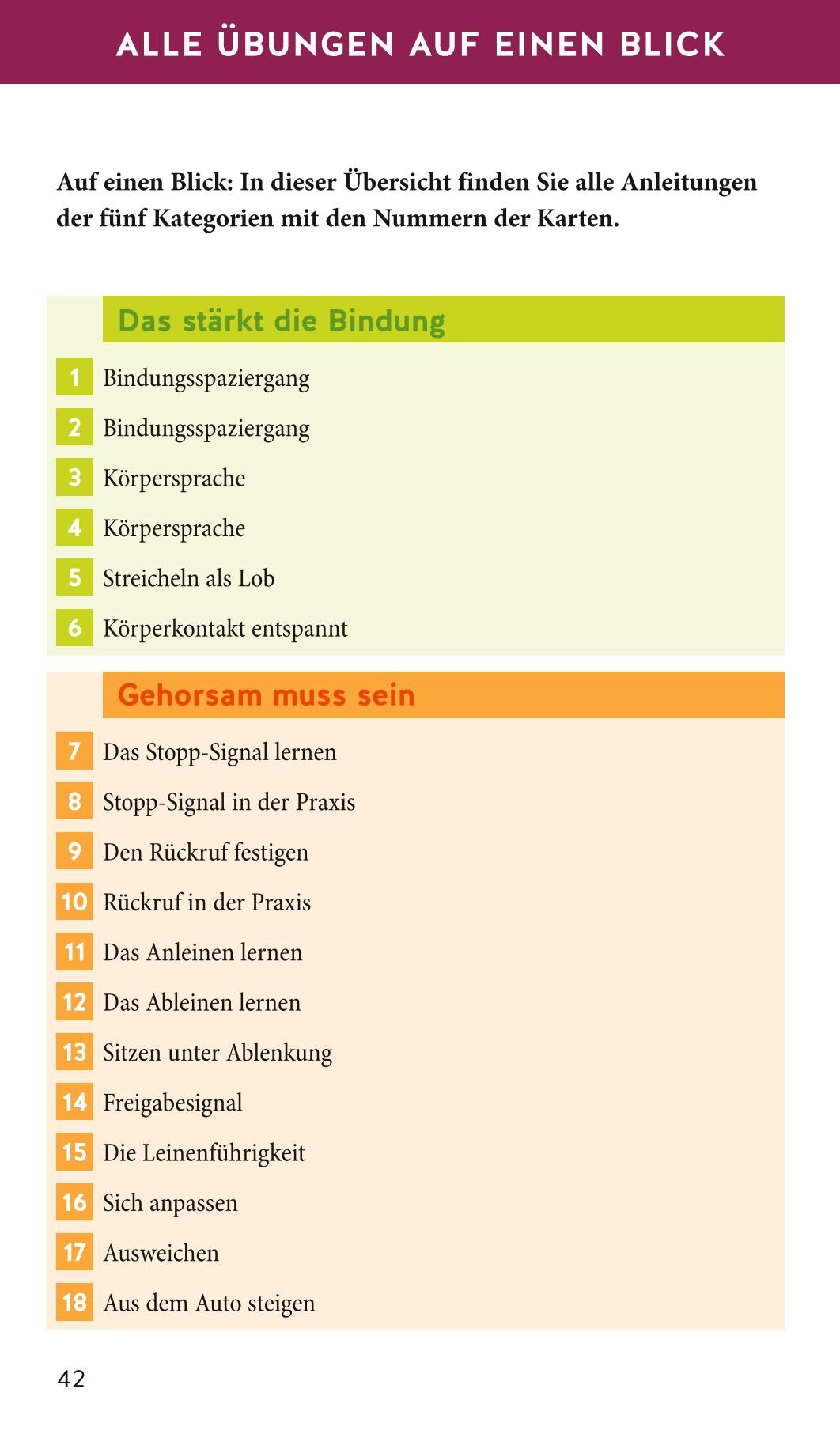 Hunde-Gassi-Box