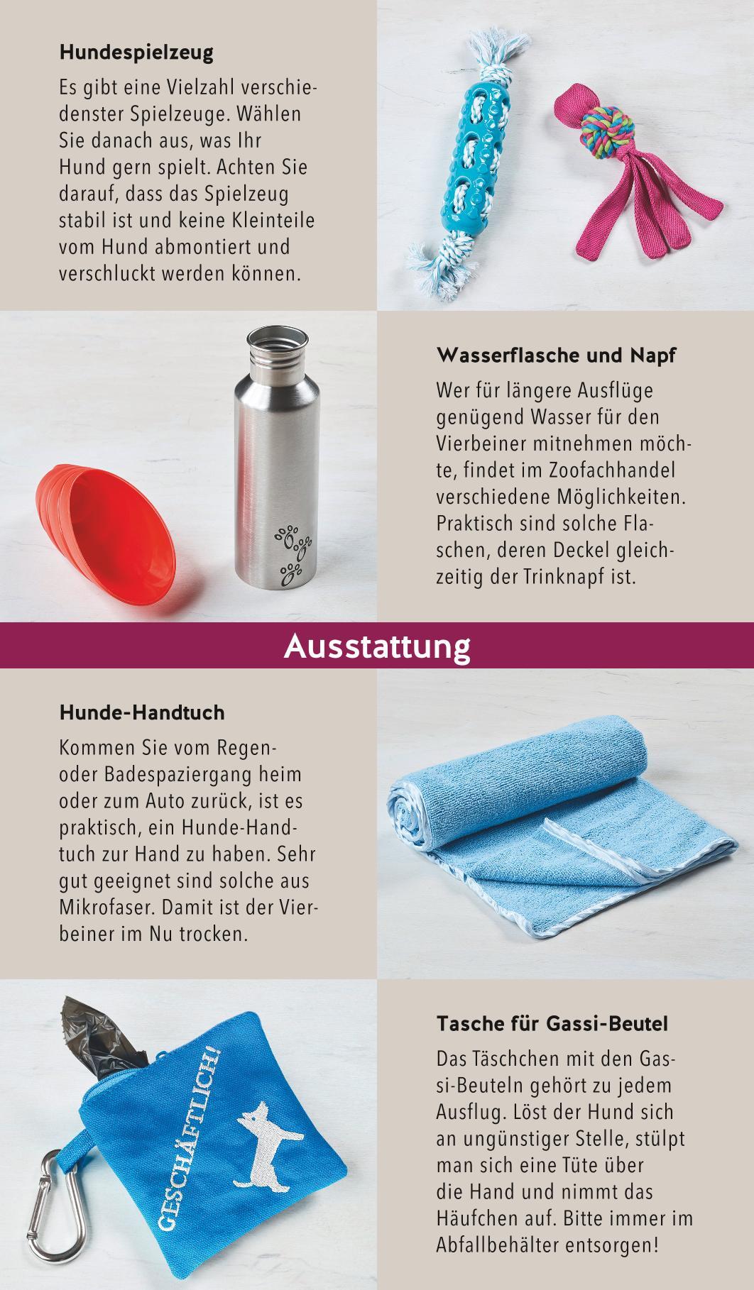 Hunde-Gassi-Box