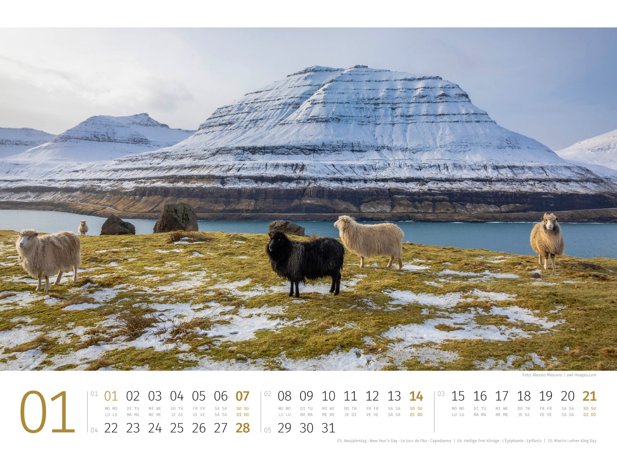 Schafe Kalender 2024