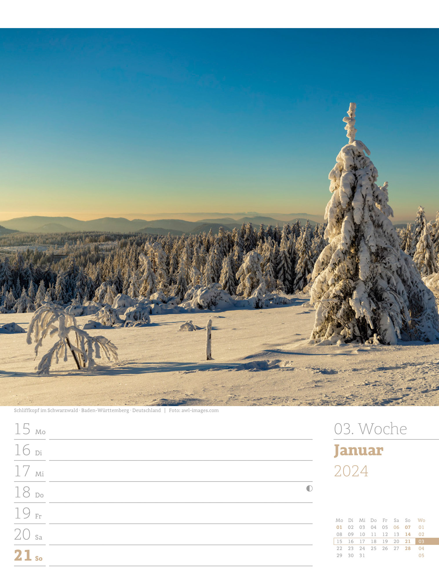 Unser Wald - Wochenplaner Kalender 2024
