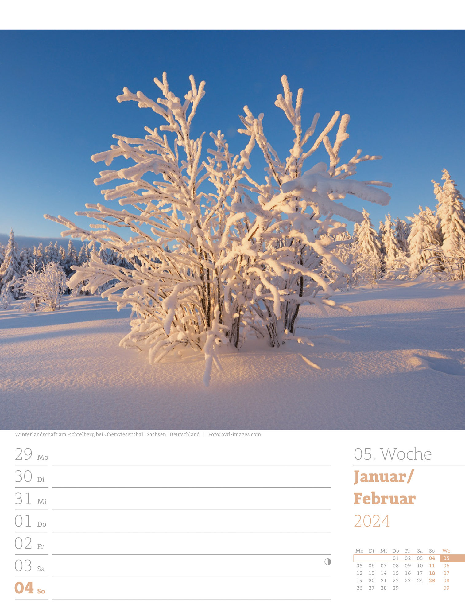 Unser Wald - Wochenplaner Kalender 2024