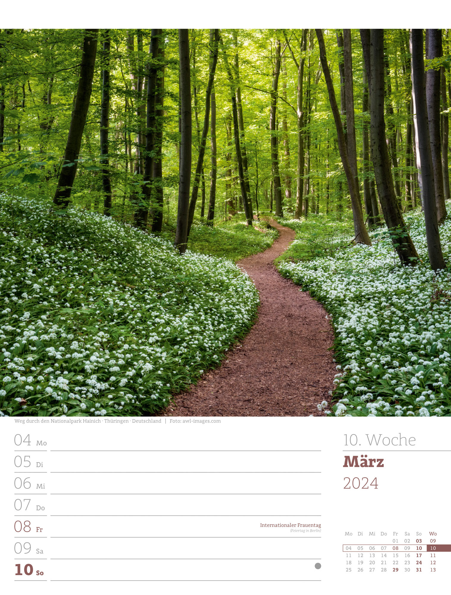 Unser Wald - Wochenplaner Kalender 2024