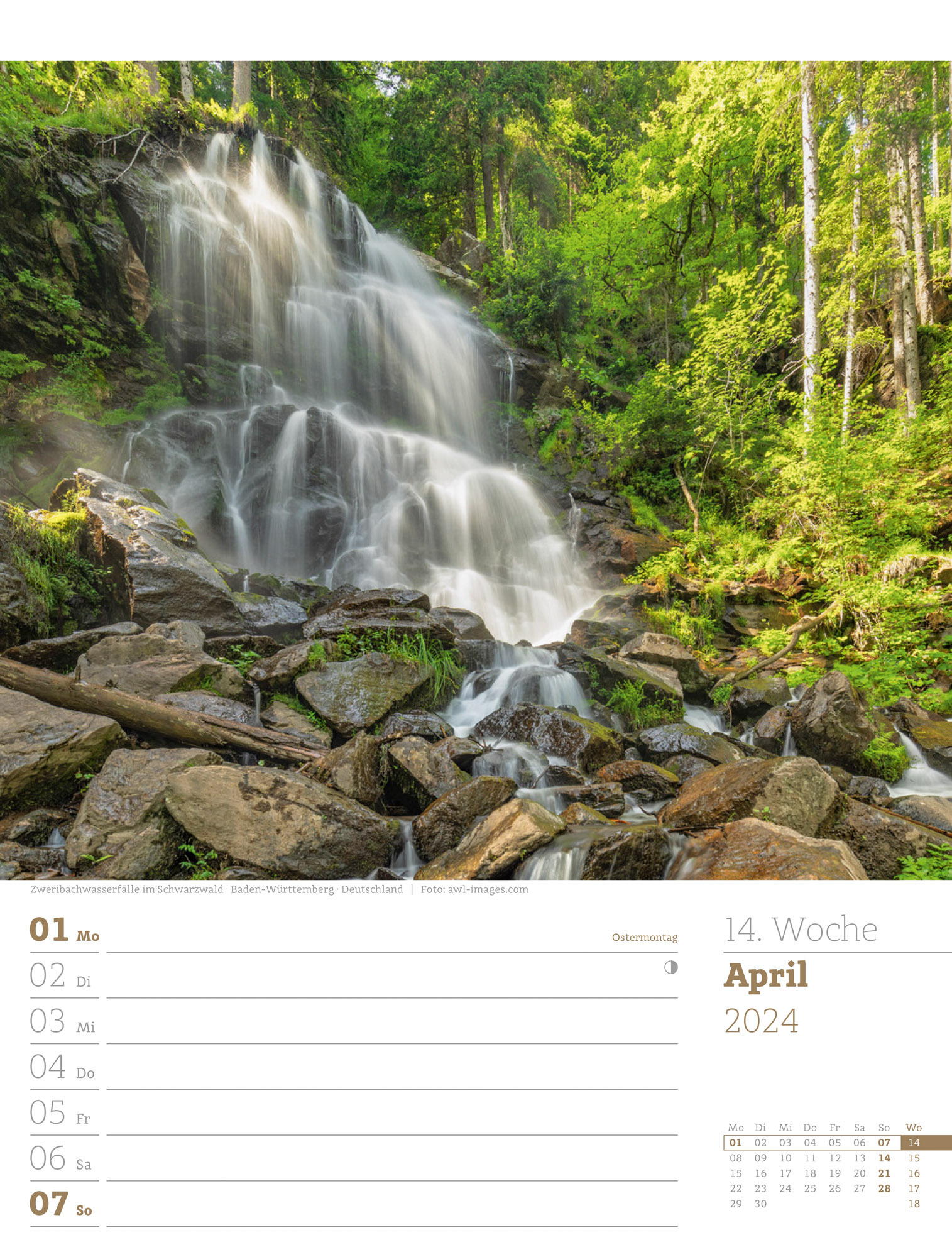 Unser Wald - Wochenplaner Kalender 2024