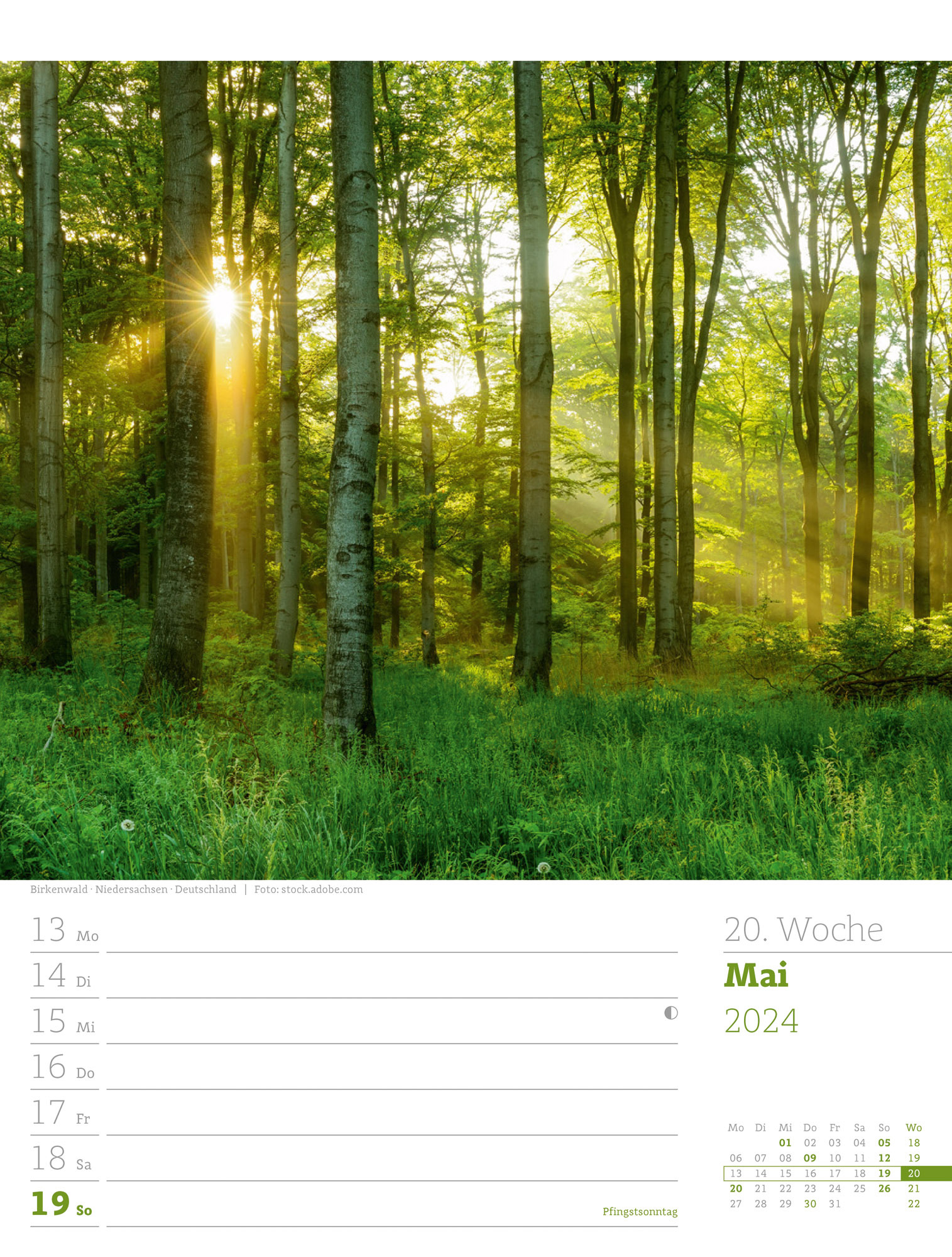 Unser Wald - Wochenplaner Kalender 2024