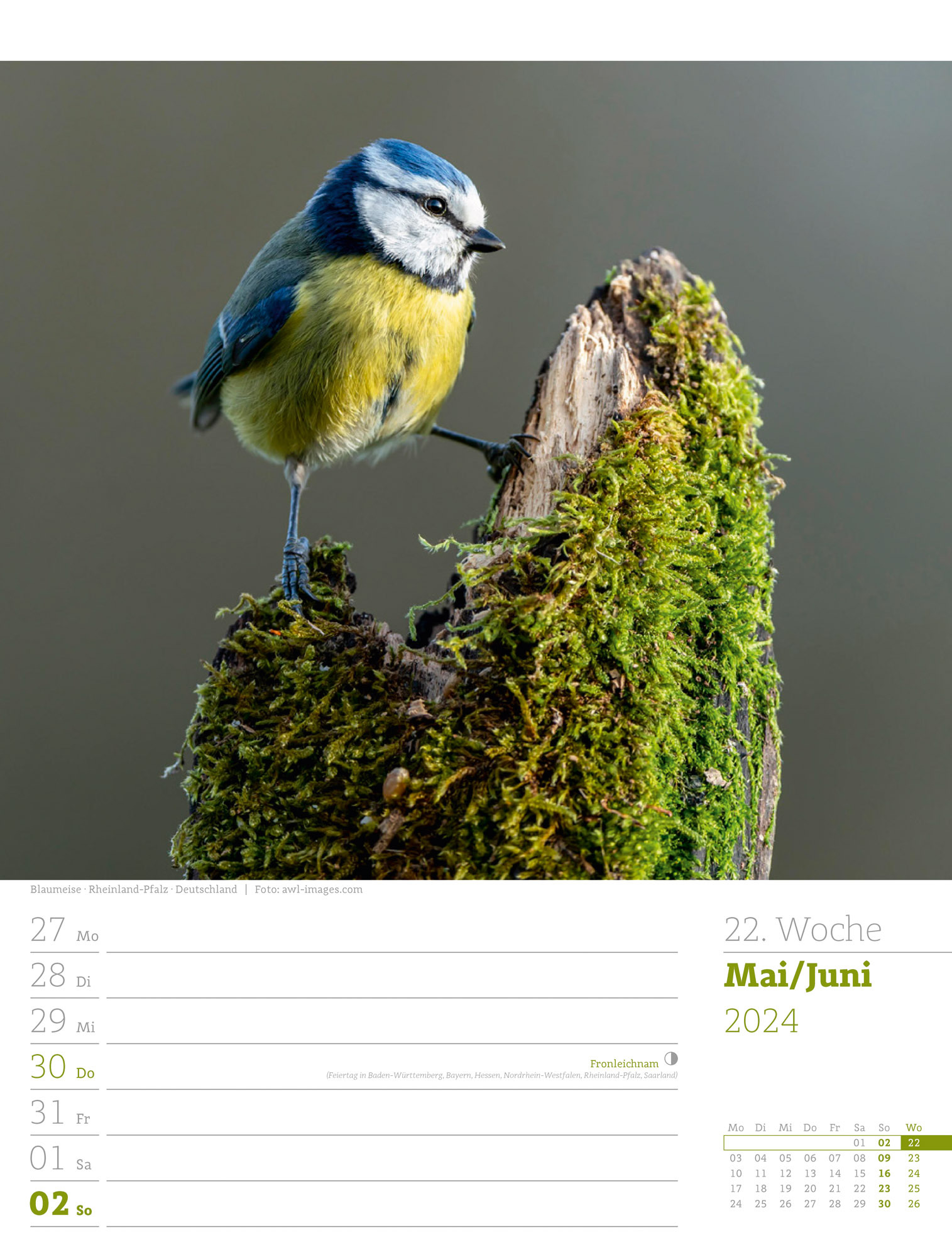 Unser Wald - Wochenplaner Kalender 2024