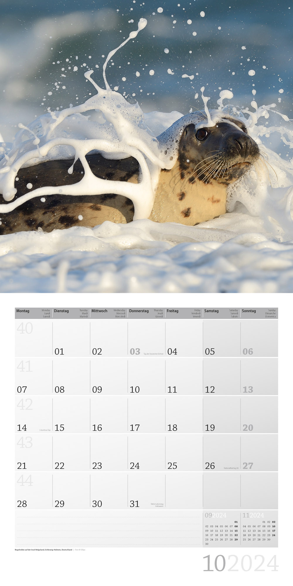 Am Meer Kalender 2024 - 30x30