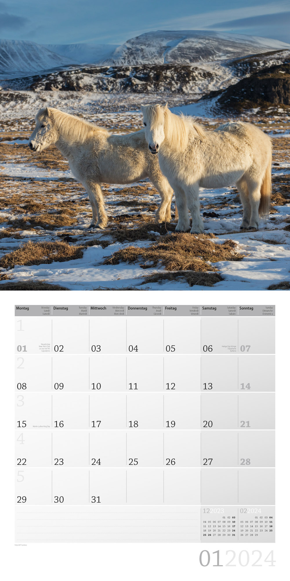 Pferde Kalender 2024 - 30x30