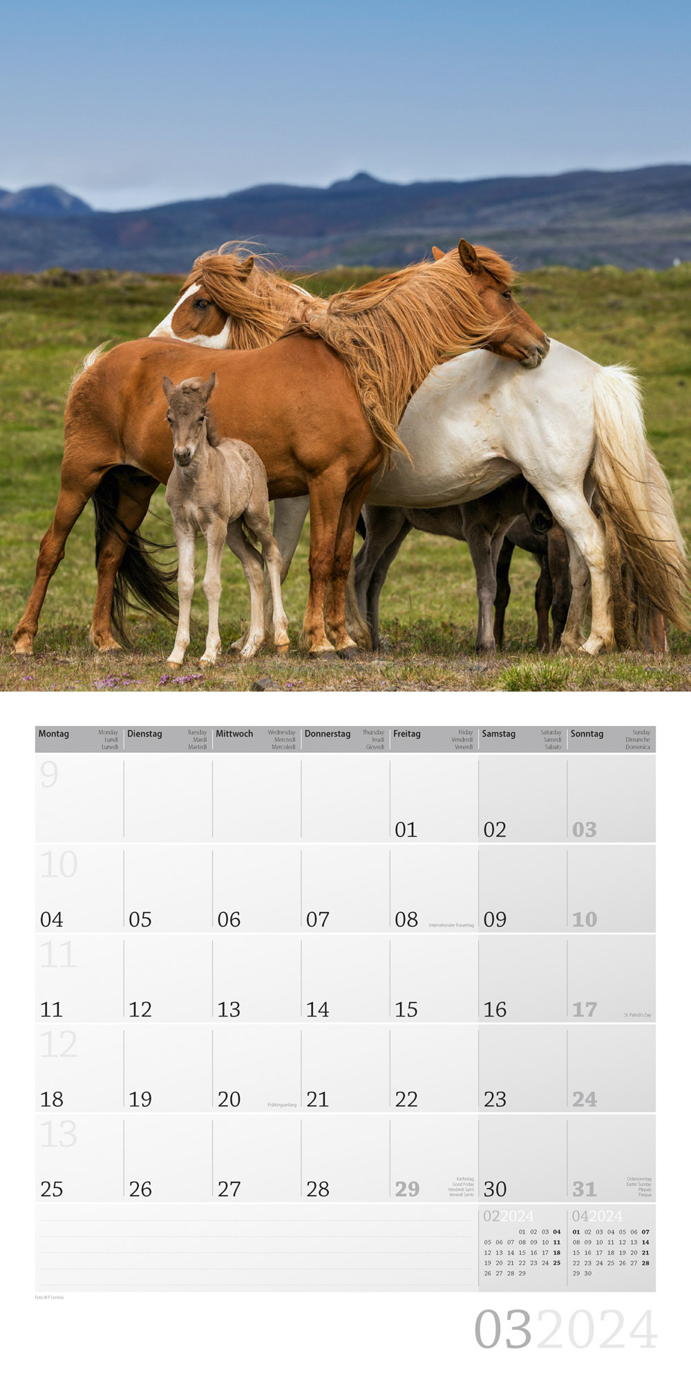 Pferde Kalender 2024 - 30x30