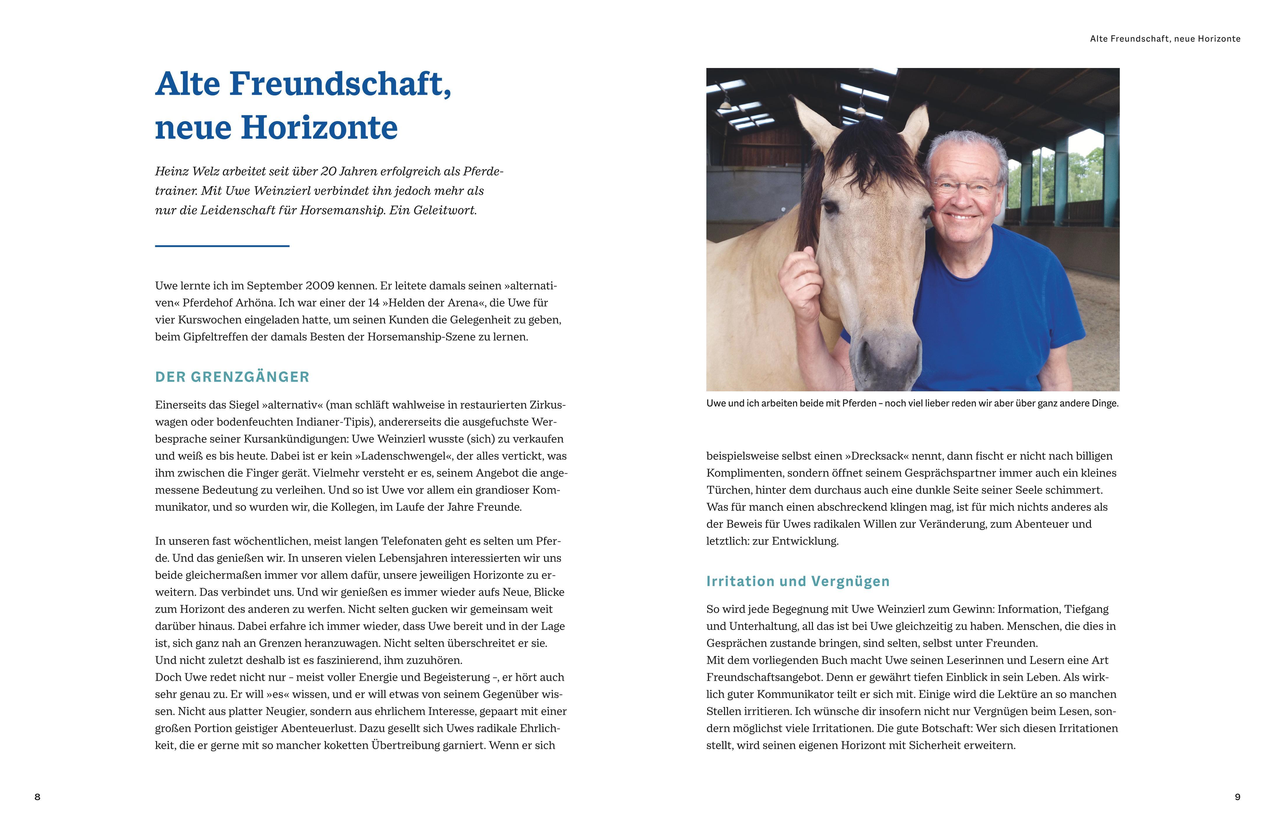 Der Pferdeversteher
